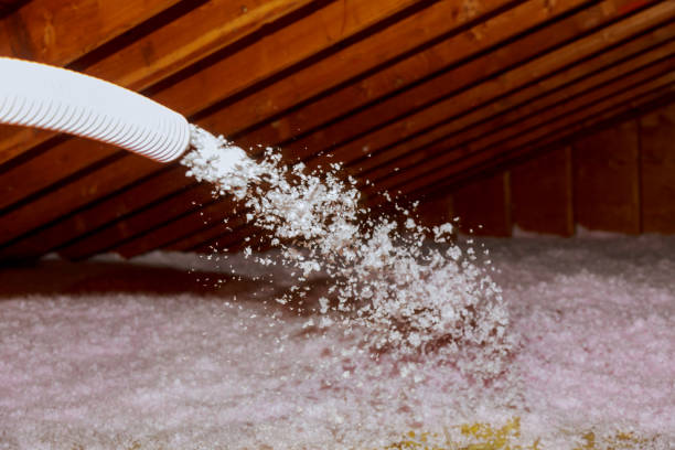 Best Soundproof Insulation Installation  in Belding, MI