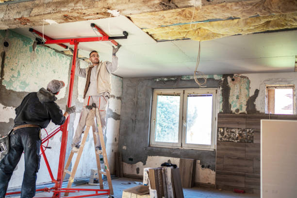 Best Wall Insulation Contractor  in Belding, MI