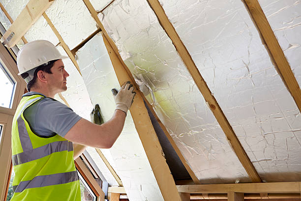 Best Insulation Removal  in Belding, MI